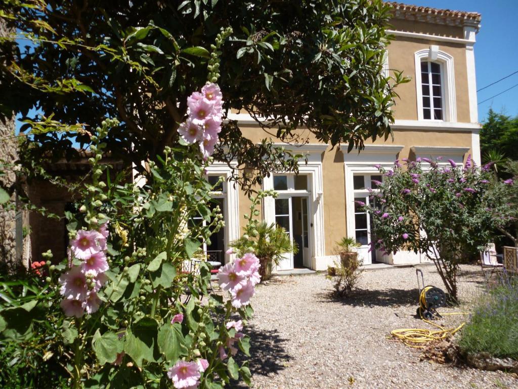 La Maison Des Palmiers Homps  Exterior foto